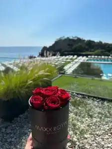 Maxx Royal Kemer Resort - 17