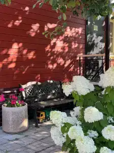 Волшебный Сад - 78