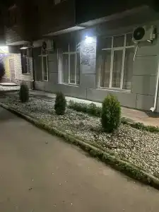 Тренд - 14