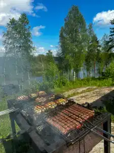 Скала - 45