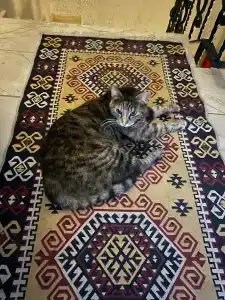 Ottoman Elegance - 15