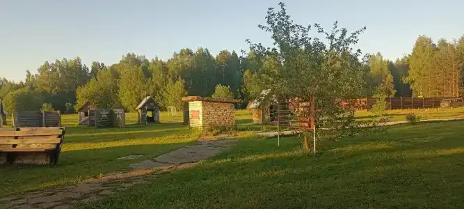 Золотой фазан - 28