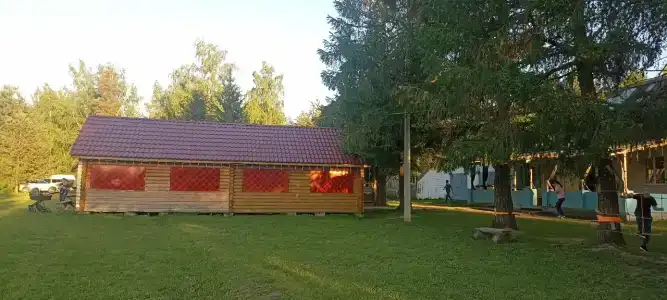 Золотой фазан - 42