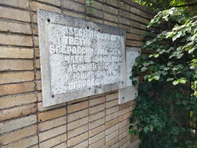 Лагерь Звёздочка - 36