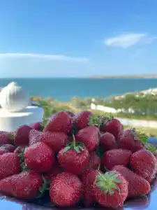 Калипсо - 14