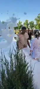 Солнечный дом - 74