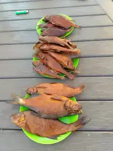 Рыбаградъ - 59