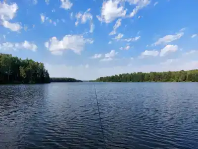 Утро на заводи - 88