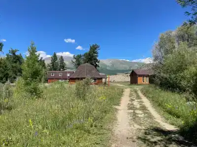 Алтынсай - 41