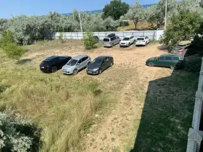 Альбатрос - 31