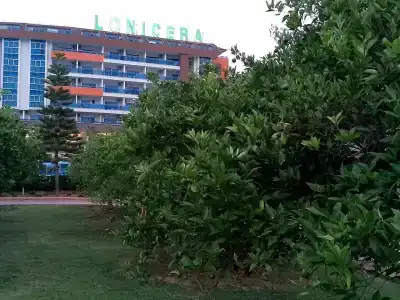 Lonicera World - Ultra All Inclusive - 21