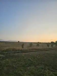 Широкая балка - 20