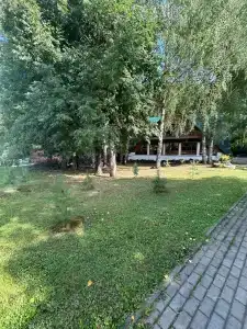Голден Фиш - 14