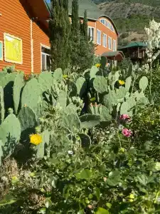 Светоч - 11