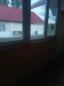 Лилия - 33