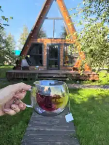 ПроЛес - 3