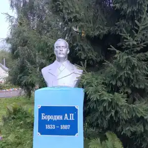 Санаторий им. А.П. Бородина - 27