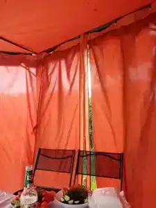 Королевская звезда - 40