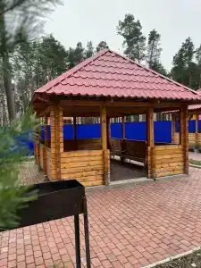 Уралец - 31
