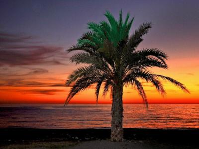 Arrayanes Playa - 2