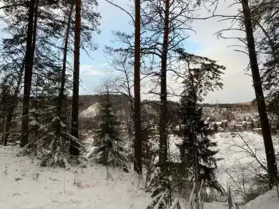 Синий утёс - 36