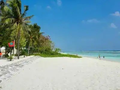 Coconut Tree Hulhuvilla Beach - 12