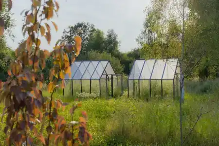 Мятный сад - 49