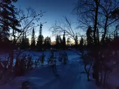 Compass Sosnovaya - 23