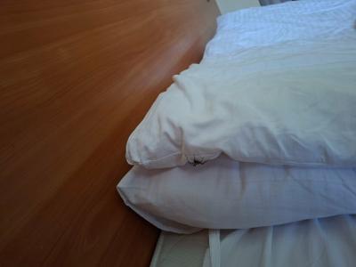 Извольте - 31