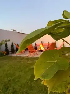 Прованс - 16