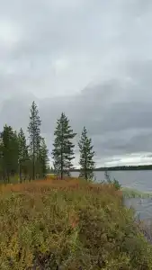 ЛеСъ - 17