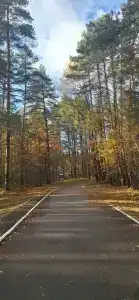 Пышкин луг - 15