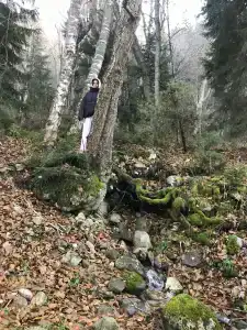 Forest Aura - 45