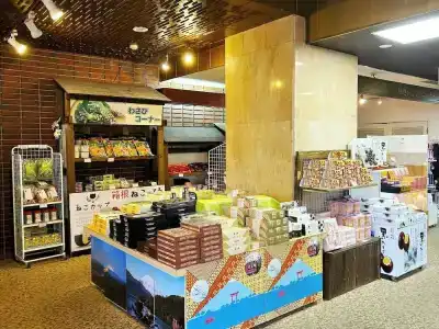 Itoen Hakone Yumoto - 36