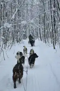 Кармалинская поляна - 13