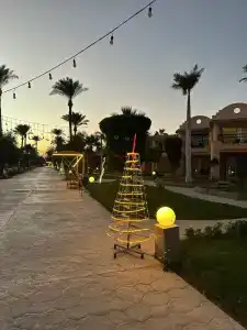 Ali Baba Palace -Families and Couples Only- - 77