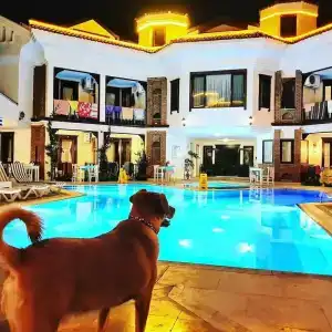 nİSh Carİa Boutique - 21