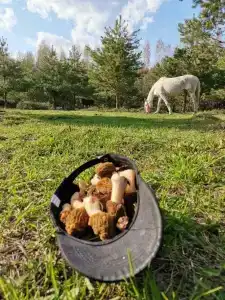 Круиз Вилладж - 38