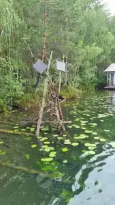 База отдыха на воде Оланга - 99