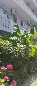 Лилия на Бирюзовой - 23