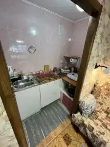 Светлана - 46