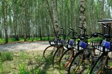 Norke Есенинская Русь - 12