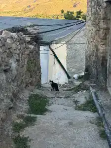 MiriDa - 38