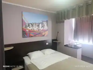 Murmansk Discovery - Smart - 83