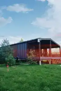 Листья - 11