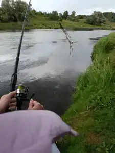 Беловодье - 15