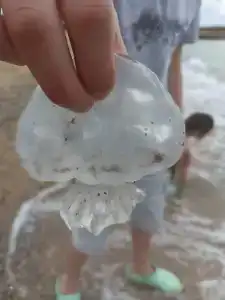 Дом друзей - 80