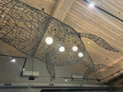 Код Севера - 12