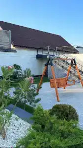 Павлония - 42