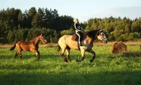 Чистые пруды - 13